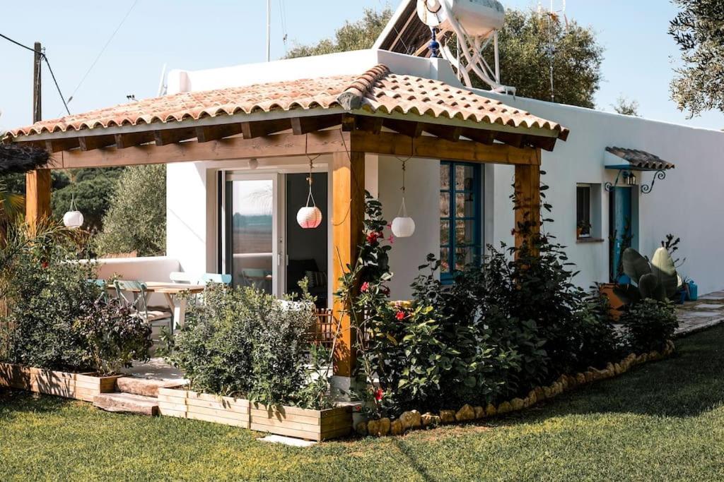 Willa Soul Casas Vejer de la Frontera Zewnętrze zdjęcie