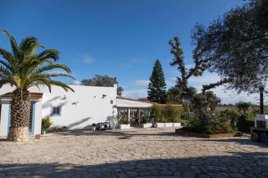 Willa Soul Casas Vejer de la Frontera Pokój zdjęcie